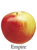 Picture of Empire apple