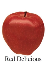 Picture of Red Delicious apple