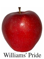 Picture of Williams Pride apple